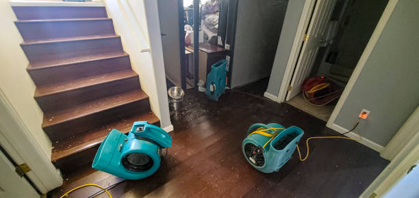 Best Water damage restoration near me  in Maywood, NJ