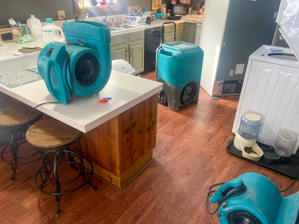 Best Commercial water damage restoration  in Maywood, NJ