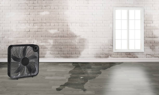 Best Sewage cleanup and water damage restoration  in Maywood, NJ