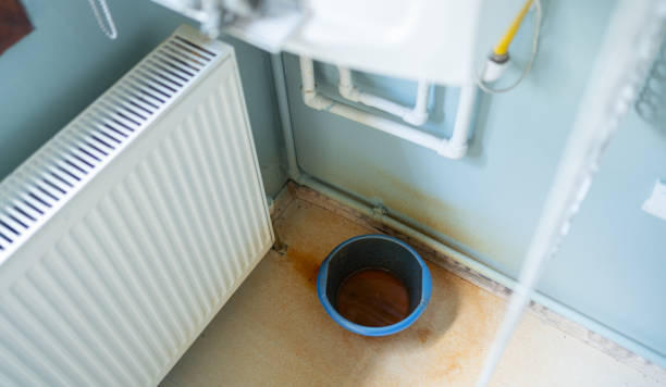 Best Flood restoration services  in Maywood, NJ
