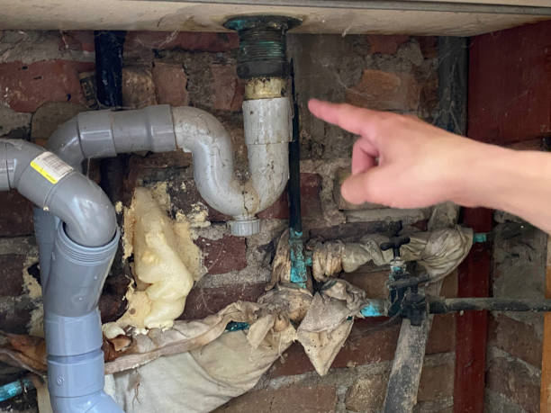 Best Carpet water damage restoration  in Maywood, NJ